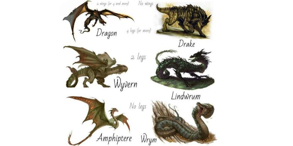 Los dragones del universo de Harry Potter