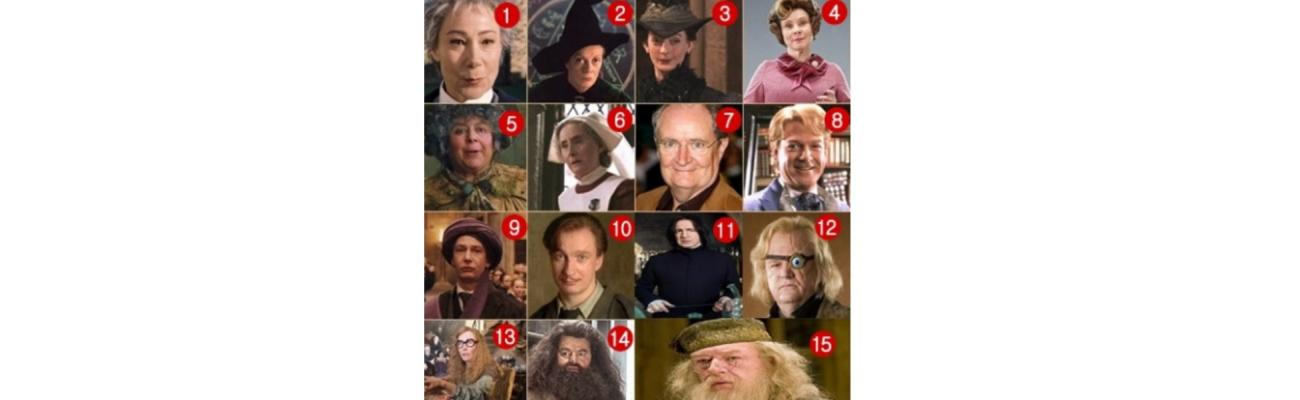Todos los profesores de Hogwarts de Harry Potter