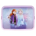 Caja Con Tapa Frozen 13L