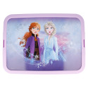 Caja con Tapa Frozen 13L