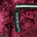 Mochila Harry Potter Terciopelo Platform