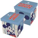 Cubo Taburete Mickey Mouse
