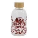 Botella De Cristal Stranger Things 620 ML