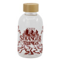 Botella de Cristal Stranger Things 620 ML