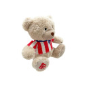 Peluche Oso Atlético de Madrid 24 CM
