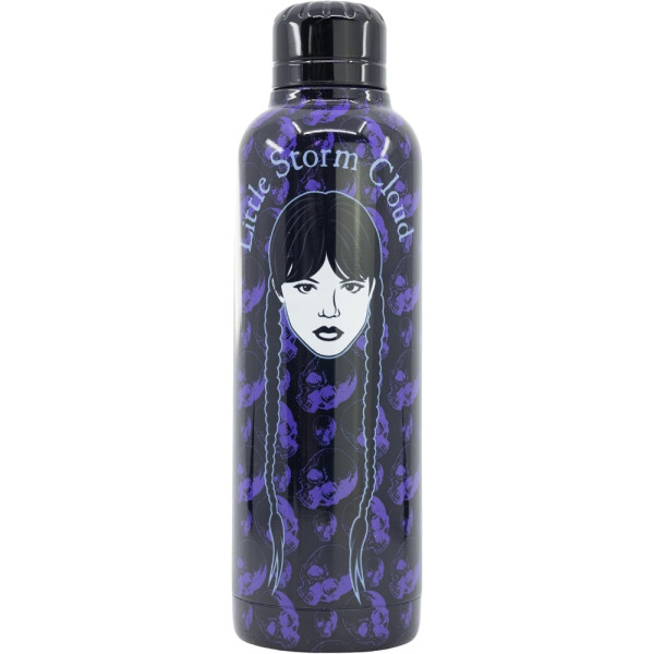 Botella de Acero Inoxidable Miércoles 515 ML