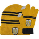 Set de Invierno Gorro y Guantes Harry Potter Hufflepuff Junior