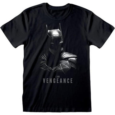 Camiseta Hombre Batm...