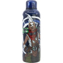 Botella Termo Acero Inoxidable 515 ML League Of Legends 