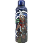 Botella Termo Acero ...