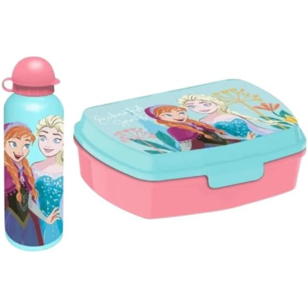 Set Cantimplora 500 ML y Sandwichera Frozen Friends