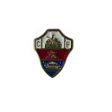 Pin Insignia Elche CF Metal