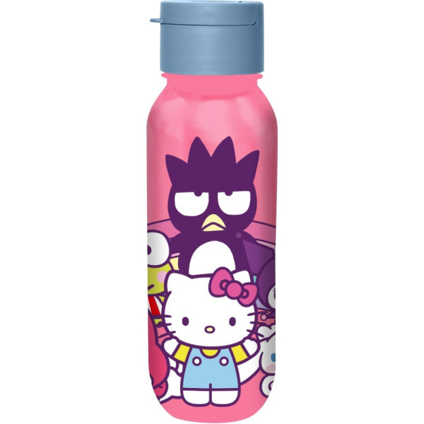Botella Cantimplora Hello Kitty and Friends Plástico 500 ML