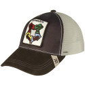 Gorra Harry Potter Hogwarts Marrón Adulto
